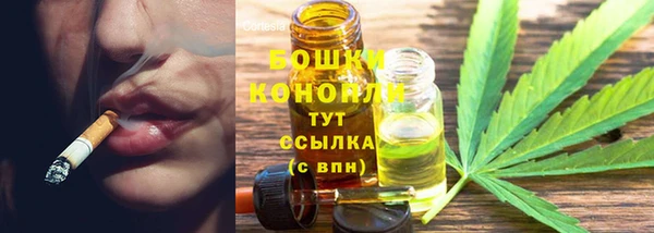 стаф Аркадак