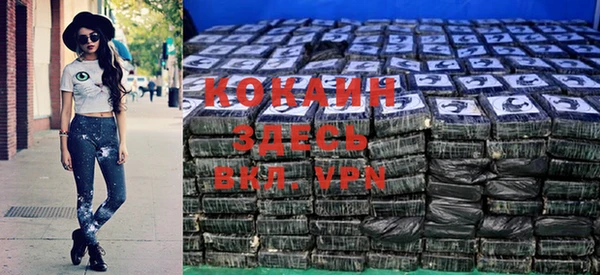 кокс Арсеньев