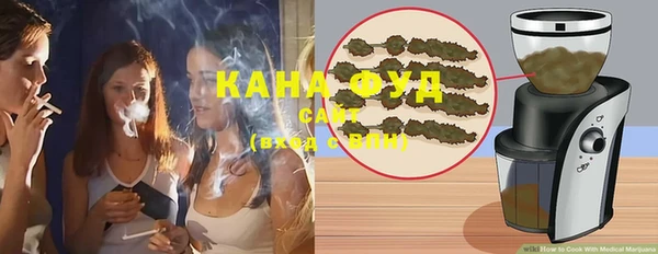 стаф Аркадак
