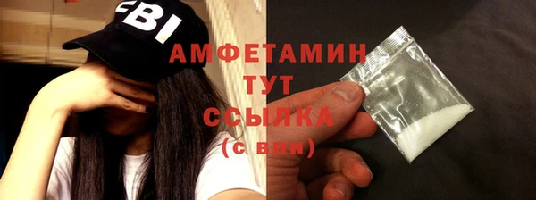 стаф Аркадак