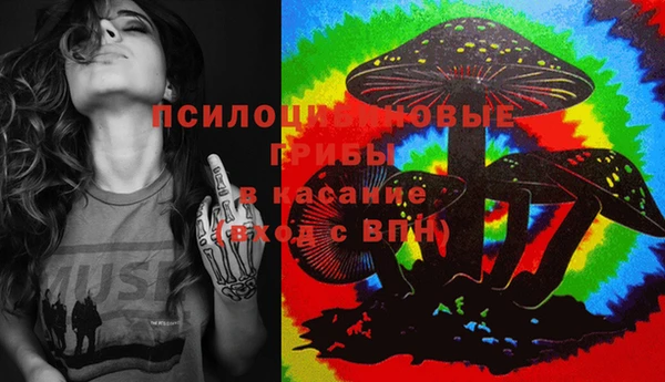 гашик Армянск