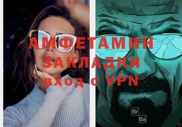 стаф Аркадак