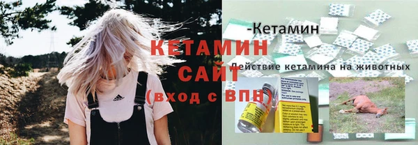 стаф Аркадак