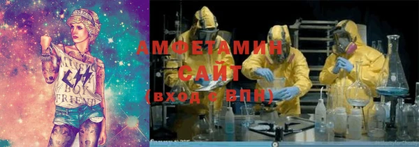 стаф Аркадак