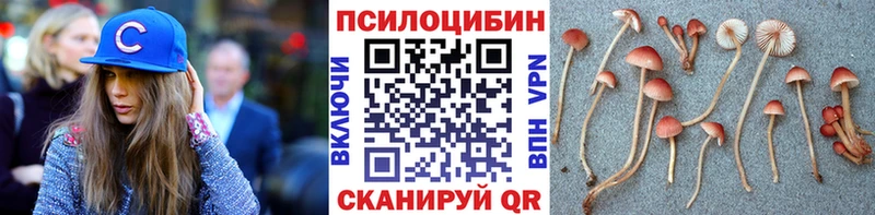 Галлюциногенные грибы Psilocybine cubensis Багратионовск
