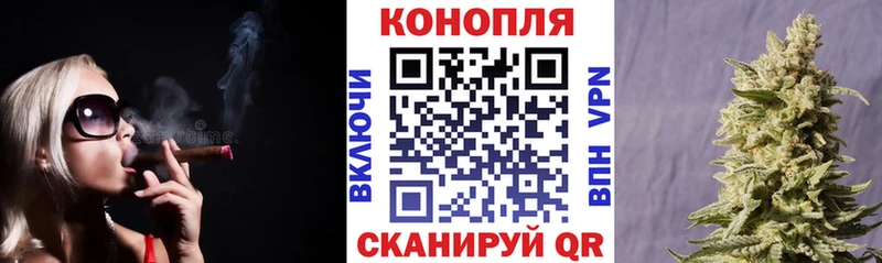 Шишки марихуана сатива  что такое   Багратионовск 